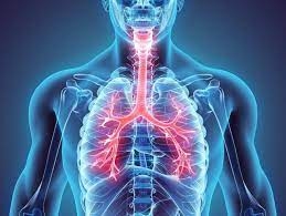 Tầm soát ung thư phổi